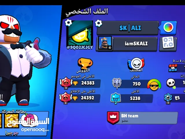 Accounts - Others Accounts and Characters for Sale in Northern Governorate