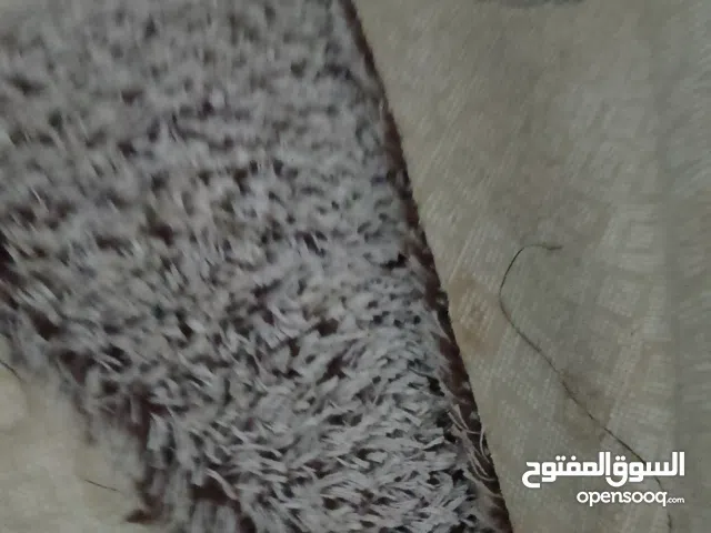 زوليه وكاربت