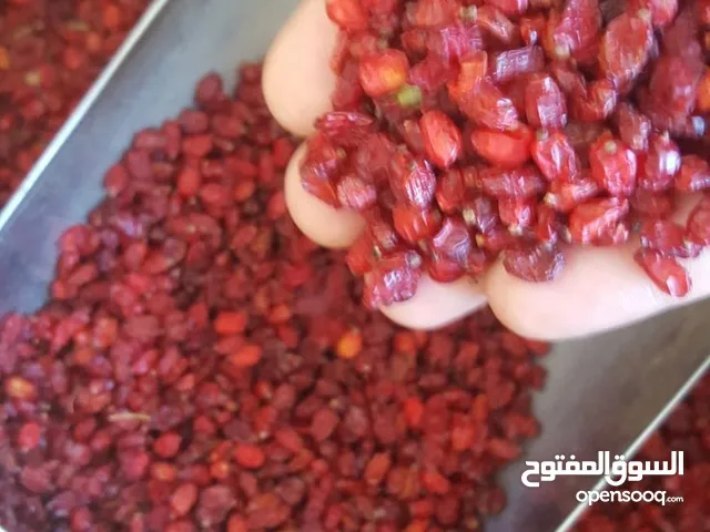 بيع زَرِشْك إيراني فاخر جودة تصديرية