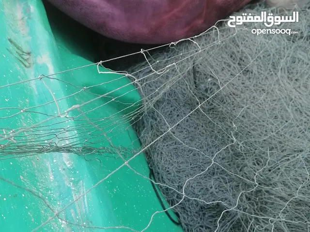 للبيع ليوخ خيط 12 سباعي الرقب 4ابوع