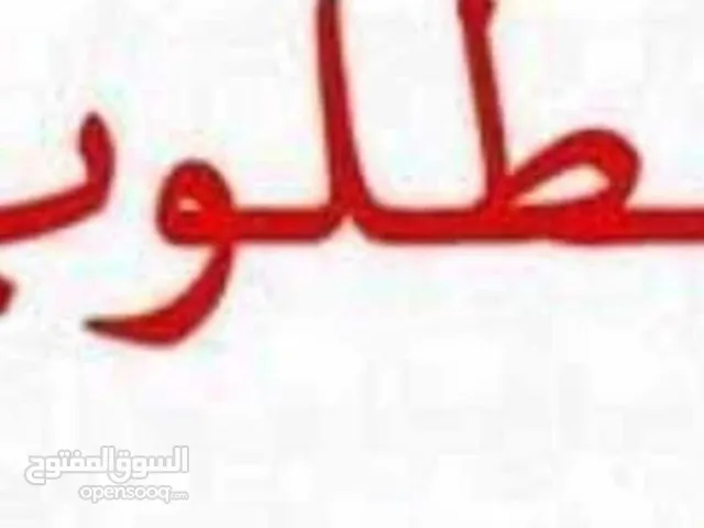 مطلوب جواز فنقز مشوش شغاله في اربد الي عنده لا يبخل علينا بسعر ضمن المعقول