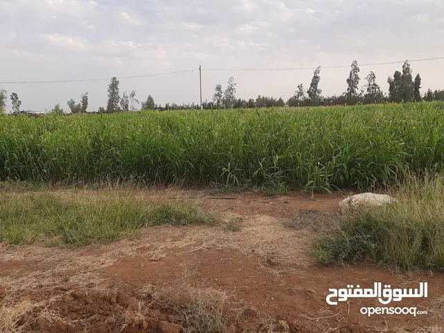 مشروع زراعي