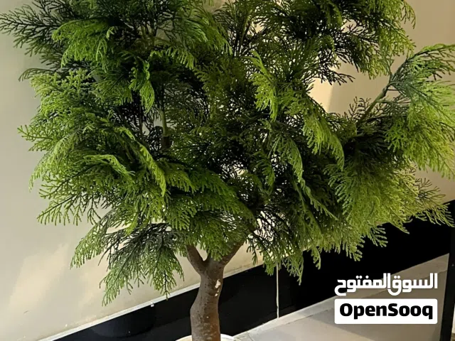 نباتات داخلية اصطناعيه
