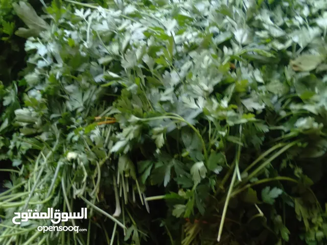 معدنوس وكسبر و بصل