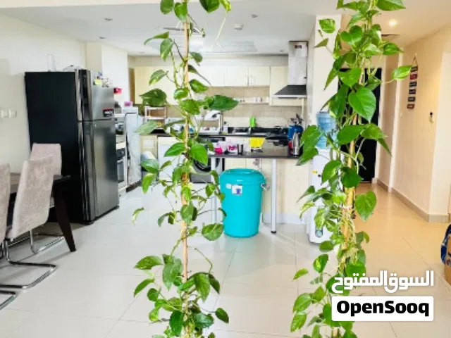 3 Money Plant(1st-12 Feet, 2nd-12 Feet & 3rd-small)–Healthy, Well-Grown + Pot & Support