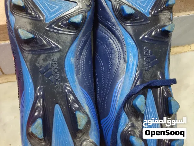 حذائي الرياضه بدل على طيور مستعمل شبيه جديد