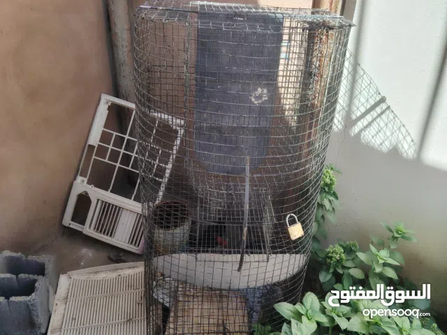 قفاص حيوانات طيور