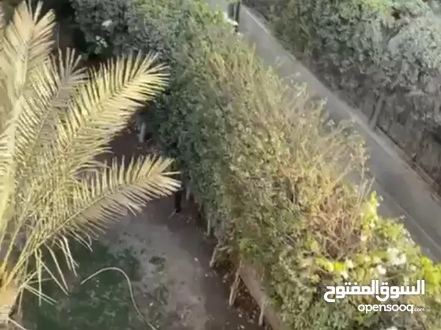 265 m2 More than 6 bedrooms Villa for Sale in Cairo Other