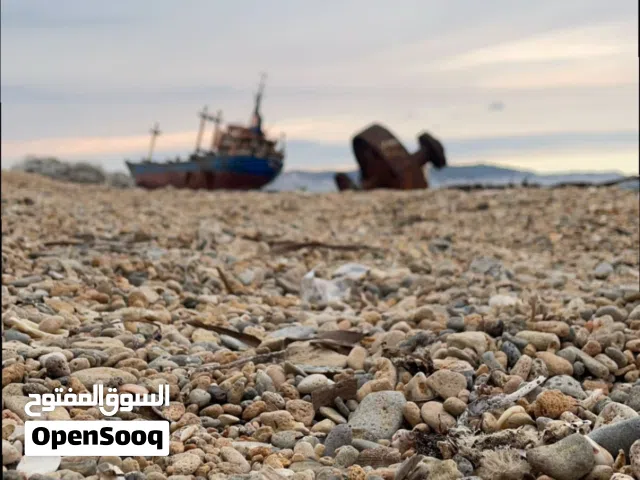 علي للتجاره و الخدمات العامه