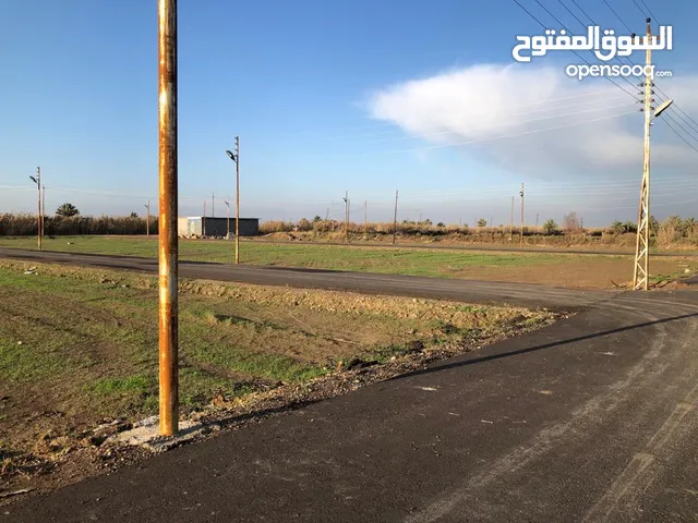 ارض زراعي 200 متر للبيع - الدورة طريق مجمع حوراء بغداد