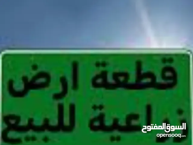 ارض مميزة للبيع مشترك