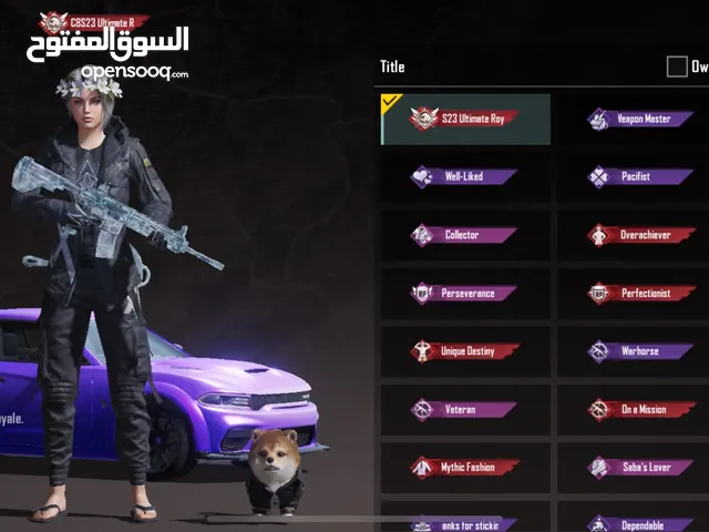 Pubg Accounts and Characters for Sale in Irbid
