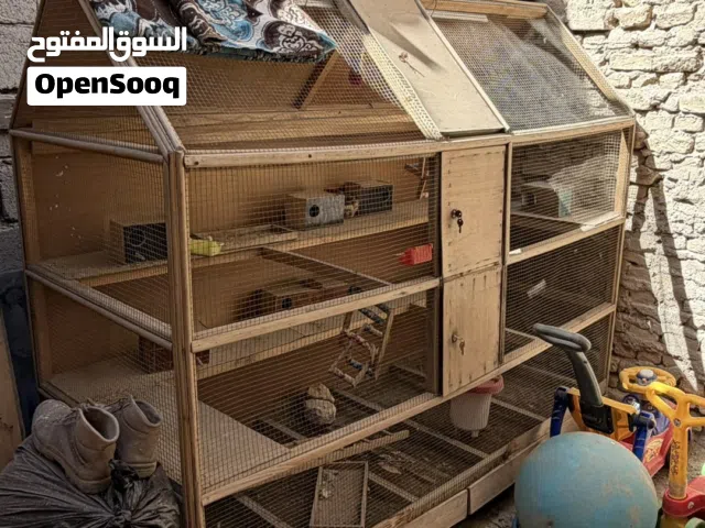 قفص للبيع مرتب يرهم لكافه الطيور