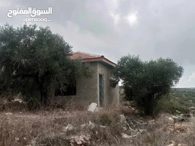 Mixed Use Land for Sale in Qalqilya Immatin