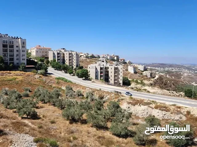 شقه مفروشه للايجار بمنطقة العامرية بنابلس