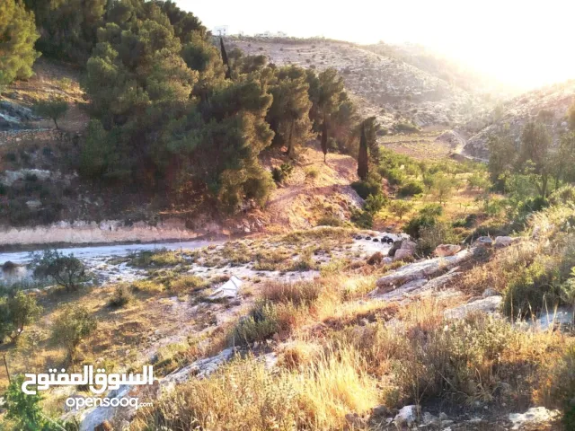 Mixed Use Land for Sale in Hebron Dura