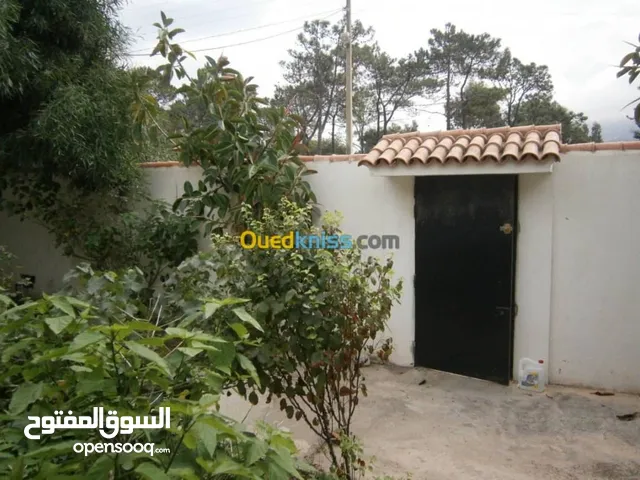 عمرعباس101
