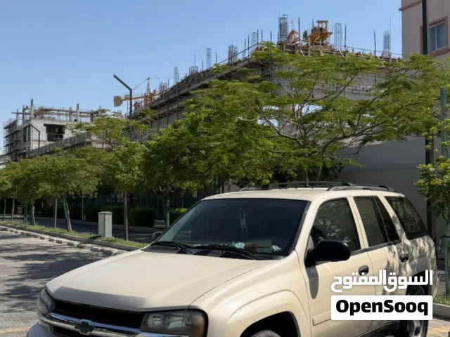 2009 Chevrolet Trailblazer LS