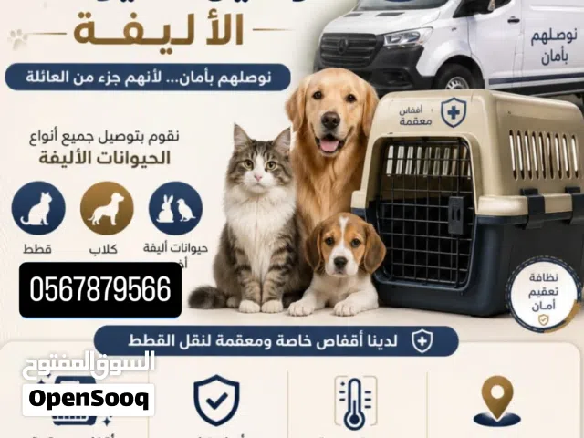 مندوب توصيل جميع حيوانات أليفه