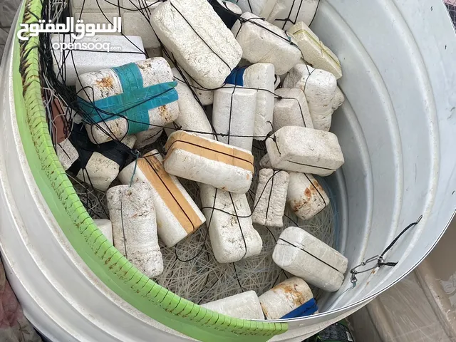 حل بيع شكه مال عنمبره خيط 200 والردع 180