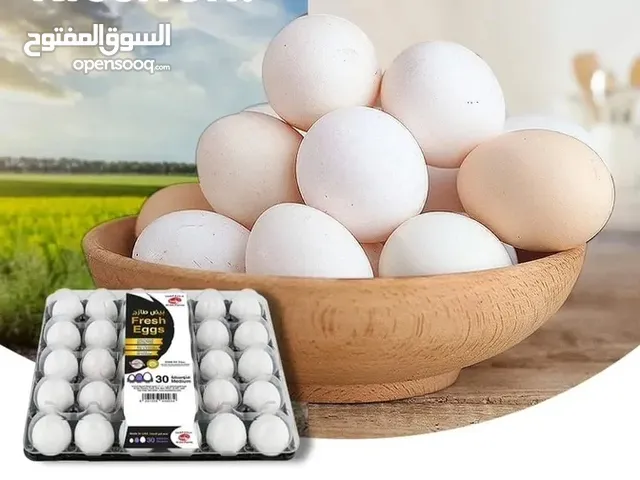دجاج طازج انتاج مزارع العين ذبح يومي تغذية طبيعيّة