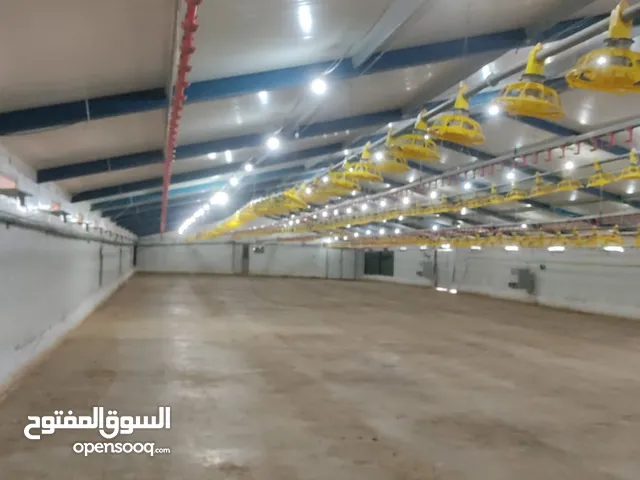 ارض للبيع منطقة (ب)  طابو