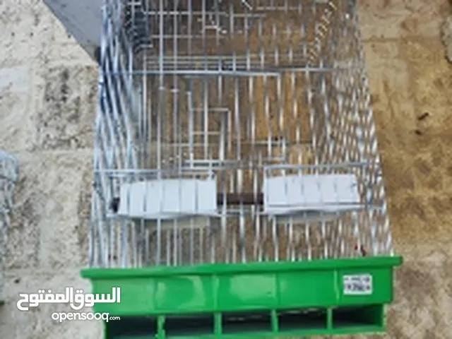 قفص ببغاء ...