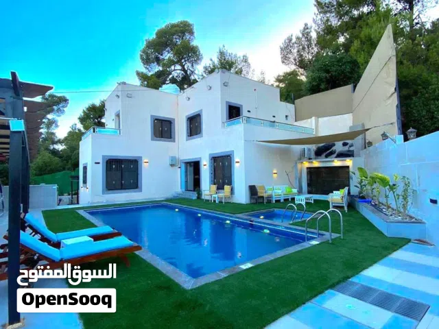 Luxury Chalet in Jerash  Private Pool &  بوليڤارد دبين فيلا جرش اطلالة على غابات دبين Nature Views