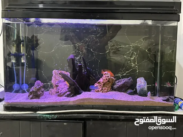 Aquarium full setup 100lt
