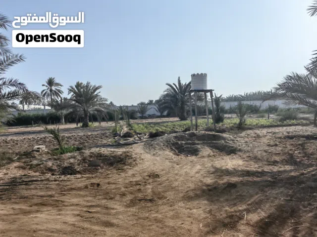Farm Land for Sale in Al Batinah Suwaiq