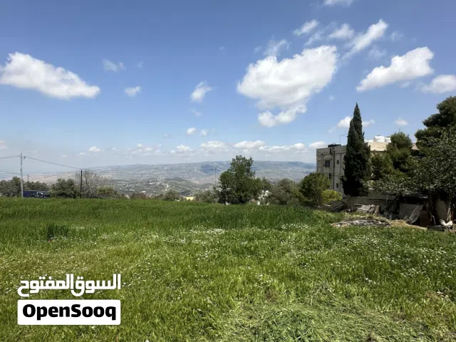 قطعه ارض مميزه سكن (ب) اجمل موقع في زي