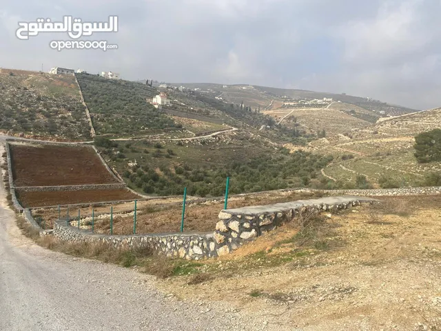 Farm Land for Sale in Zarqa Um Rummanah