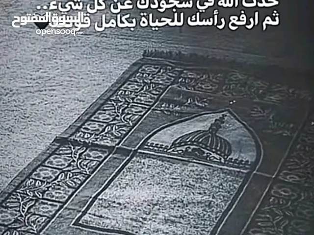 Majd Riad Aldeek