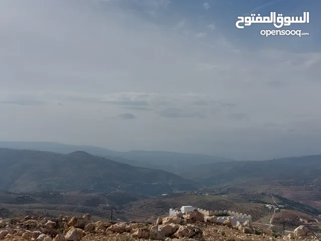 Farm Land for Sale in Jerash Unaybah