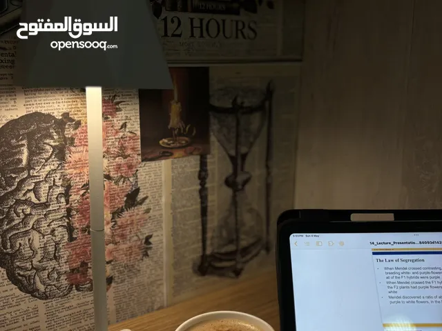 لمبة ديكور مكتبية أنيقة – ضوء هادئ ومريح للمذاكرة والعمل تصميم مودرن