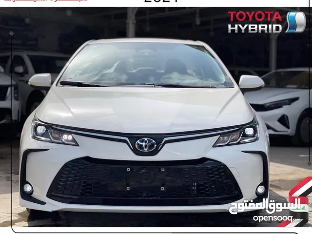 New Toyota Corolla in Baghdad