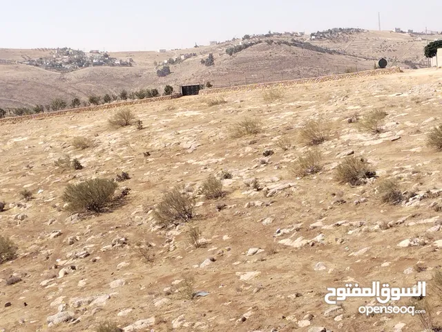 Farm Land for Sale in Zarqa Birayn