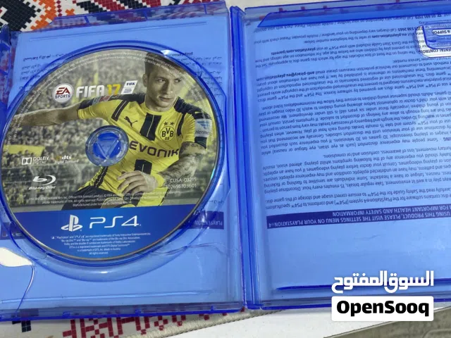 سيدي فيفا 2017