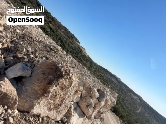 لمن يبحث عن التميز والاطلالة الغربية الاجمل والهدوء