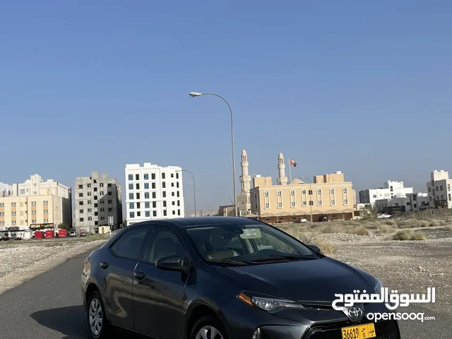 Used Toyota Corolla in Muscat