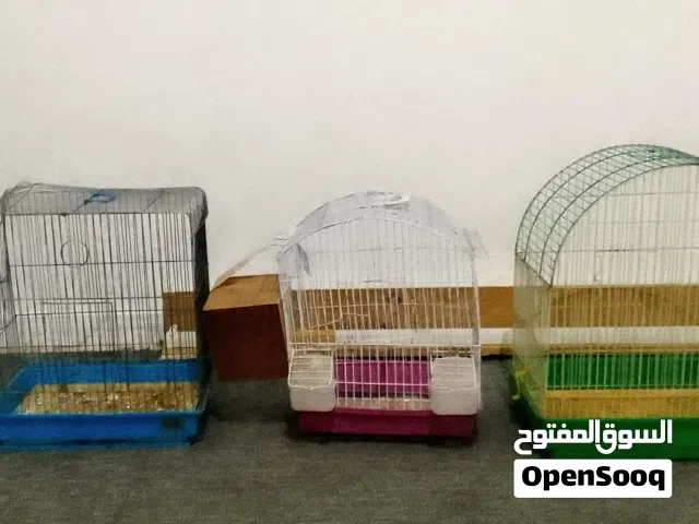 قفاص ربي يبارك بسعر حرررق