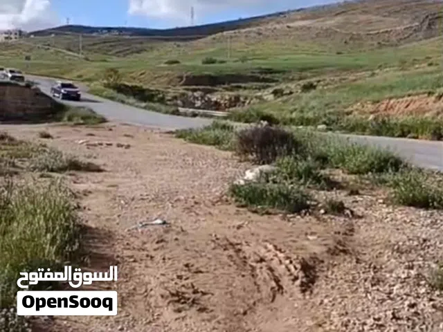 Residential Land for Sale in Zarqa Shomer