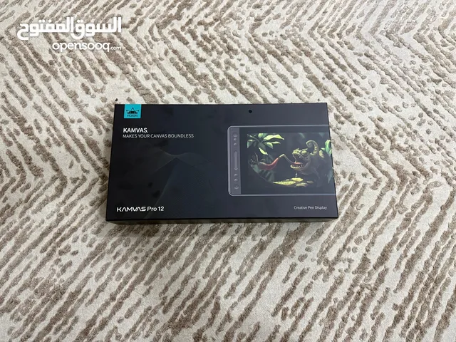 kamvas pro 12