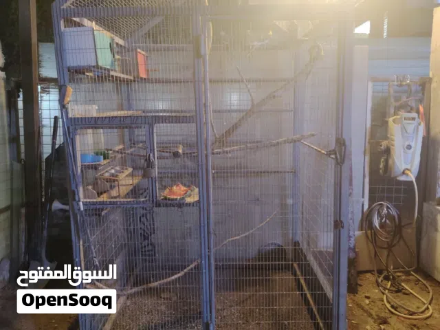 قفص حجم كبير
