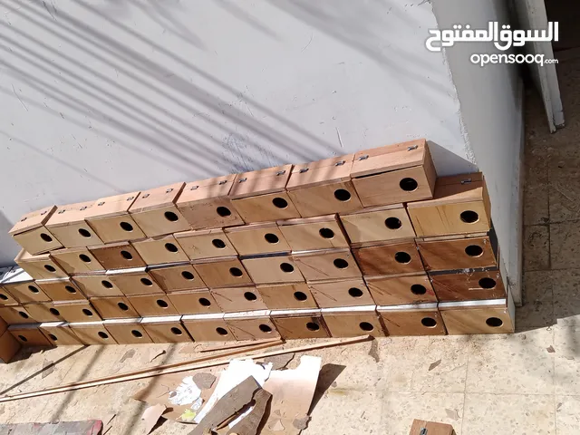 كواخ عصافير وكوكتيل بسعرر حرق يوجد كميات