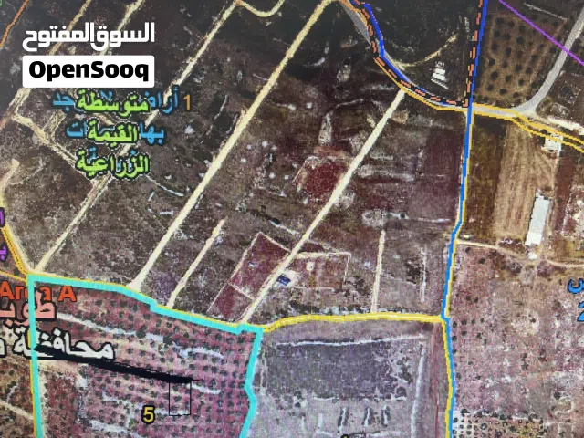 Farm Land for Sale in Tubas Other