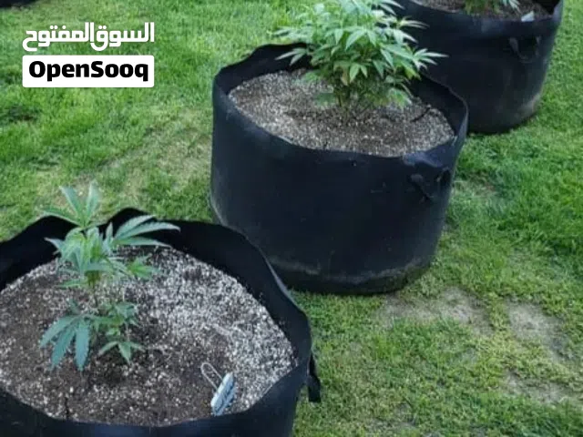 احواض -الأصص القماشية الذكية للزراعة الاحترافية