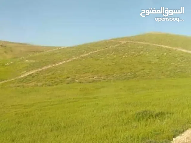 Farm Land for Sale in Ramtha Al Bweida