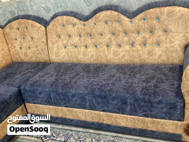 تخم قنفات للبيع