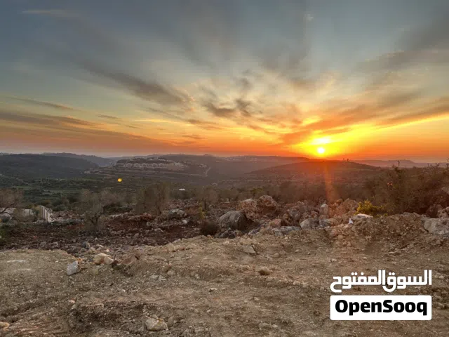 قطعة أرض للبيع - موقع مميز - سعر مغري